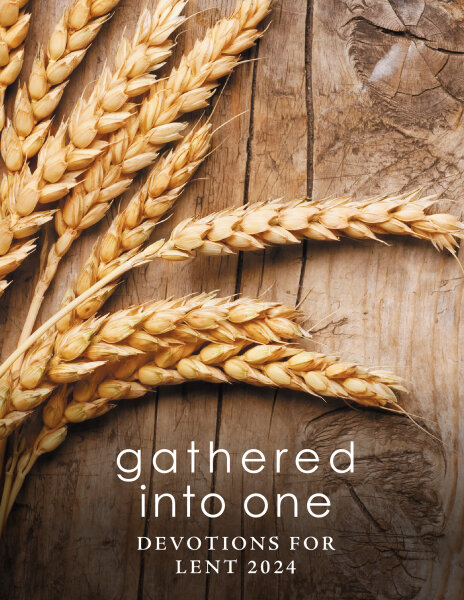 Cover of Gathered Into One